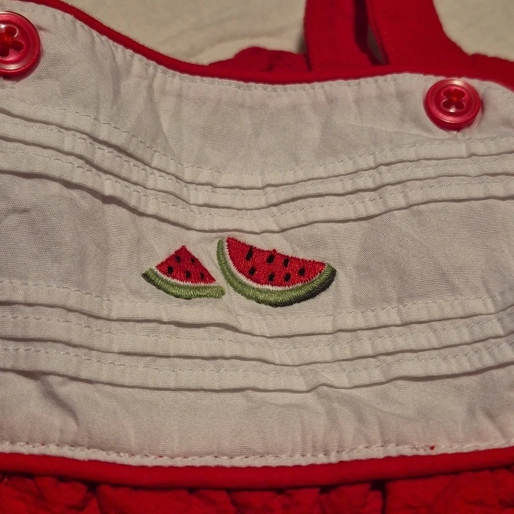 Janie and Jack girls size 0-3 months Layette watermelon bubble romper 2014 VGUC - Picture 3 of 5